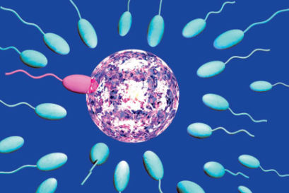 science-sperms