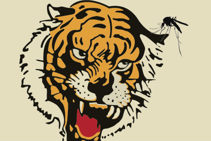 Southeastern Louisiana Tigers Logo PNG Transparent (1) – Brands Logos