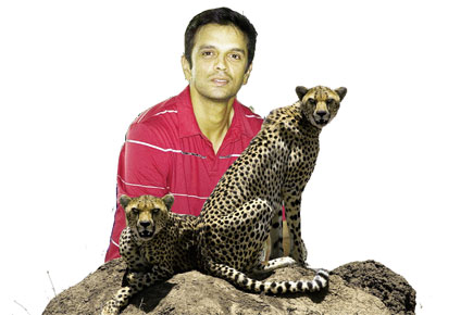 Dravid's Wild Side - Open The Magazine Dravid's Wild Side - Open The Magazine