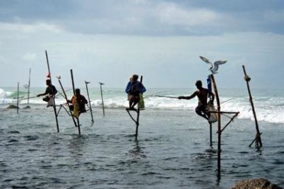 Stilt fishermen at Unawatuna, Galle district (Photo: JEREMY HORNER/GETTY IMAGES)