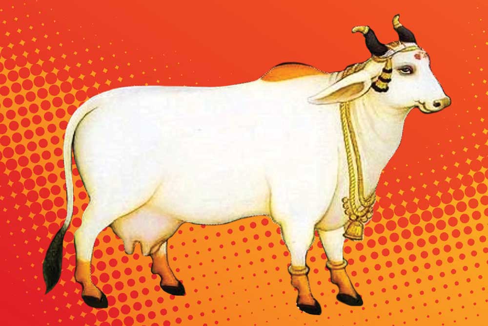 what is the significance for hindus not eating beef