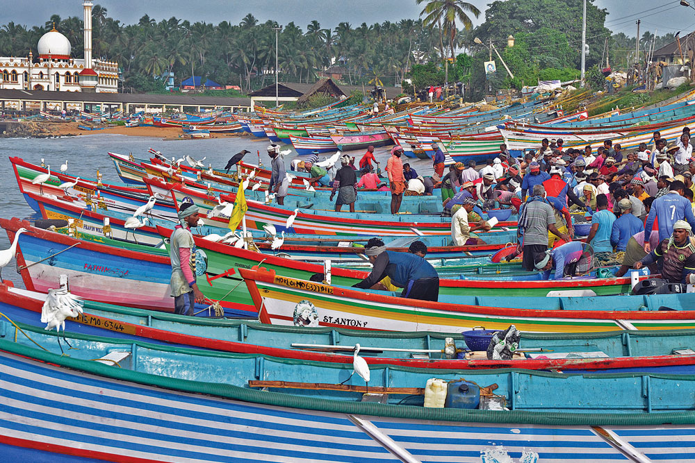 Kerala's Fishing Community: In Deep Waters - Open The Magazine