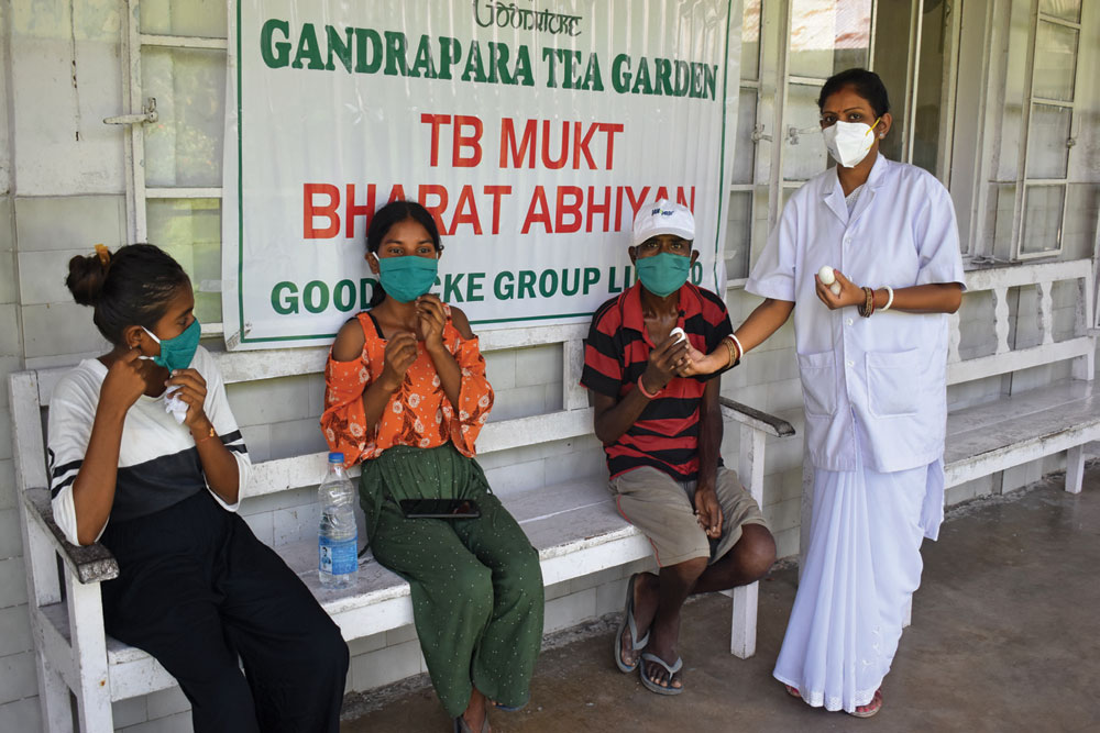 Taming Tuberculosis