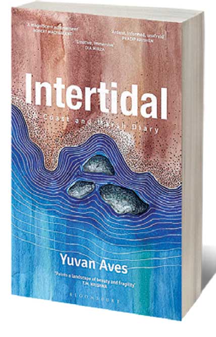 Intertidal: A Coast and Marsh Diary /