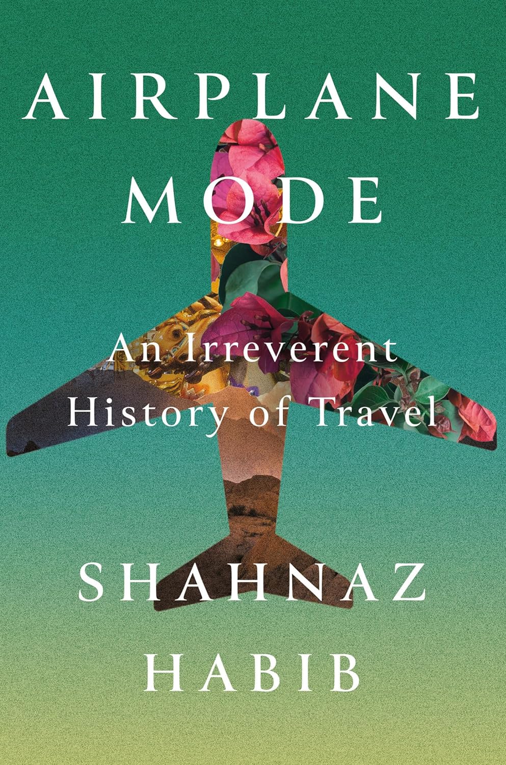 Airplane Mode  A Passive-Aggressive History of Travel /